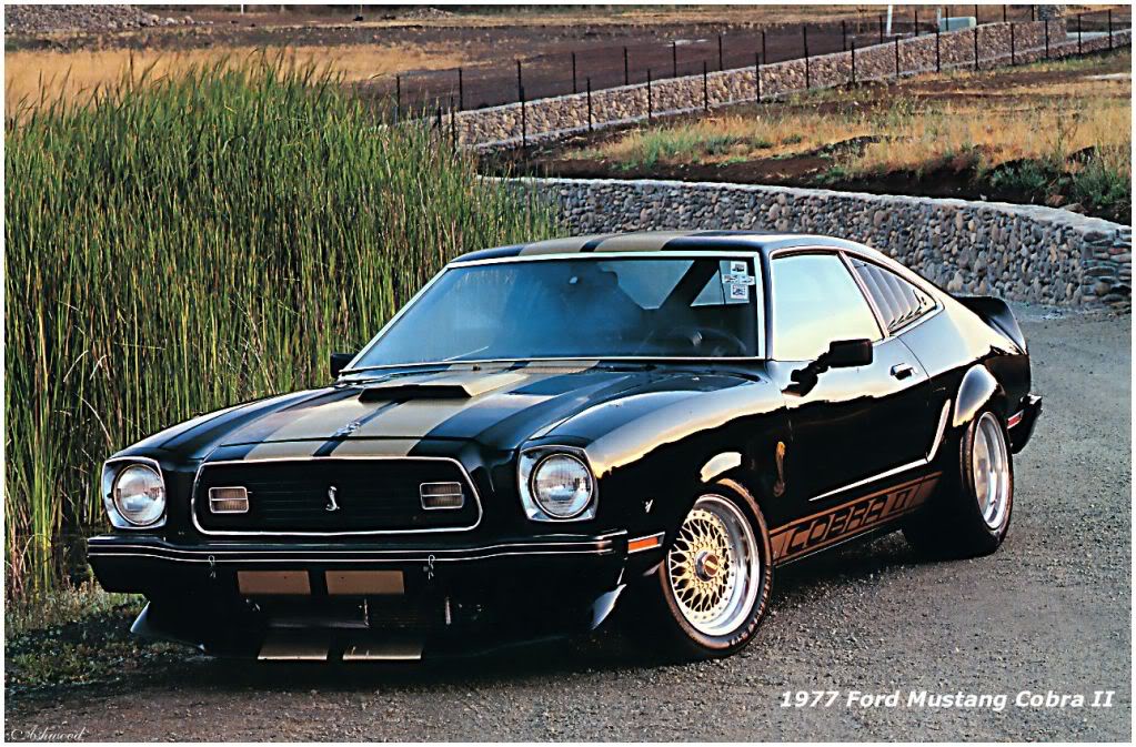 Name:  1977_Ford_Mustang_Cobra_II.jpg
Views: 47
Size:  192.1 KB