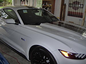 My new Mustang GT - and question-hpim0401.jpg