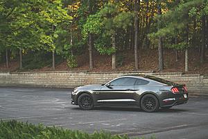 Just get your 2015-2023? Let's see some pictures!-mustang-side.jpg