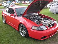 What would you pay for this Cobra-mforums-1.jpg
