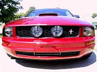 fitting gt style grill &amp; fog lamps to pony ed v6-frontmiddleview.jpg