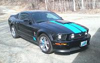  Need pics of Black Mustang with Stripes-0511131115aa.jpg