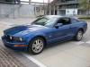 Blue GT Mustang's Avatar