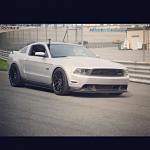 stang8psi's Avatar