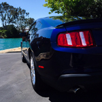 Sicy Stang's Avatar