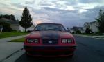 Stang2.3's Avatar