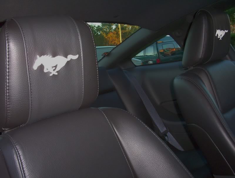 How To Install Ford Mustang Leather Interior Mustangforums - 2018 Ford Mustang Leather Seat Replacement