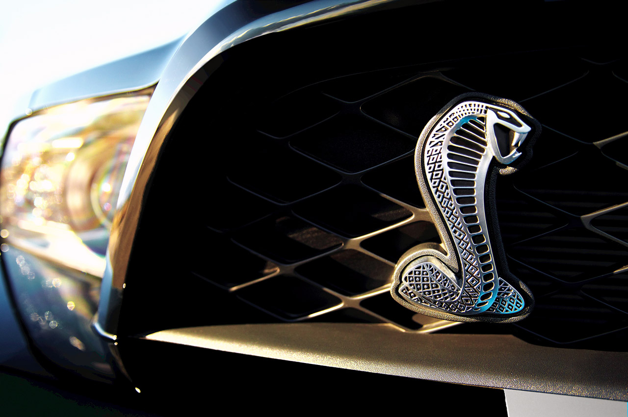 shelby-gt500-grille.jpg