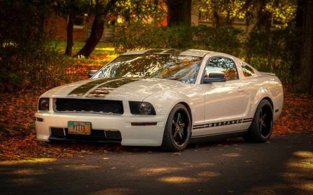 This Mustang Could be a Steal