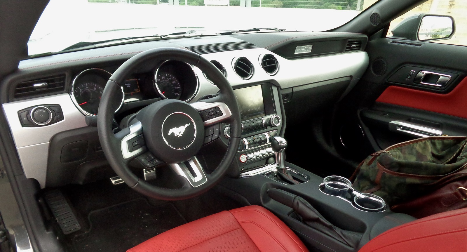 Redline Mustang Leather Interior
