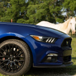 Bikinis and Mustangs, the Perfect Gallery Combination