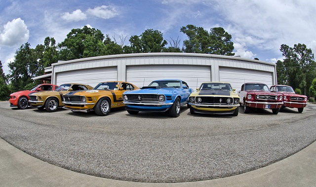 mcmurrey-mustang-collection featured image