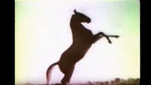 Throwback Thursdays: The First Mustang TV Ad