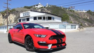 7 Takeaways on the New Shelby GT350 as a Daily Driver