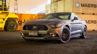 Mustang Craze in Australia Well Into Overdrive