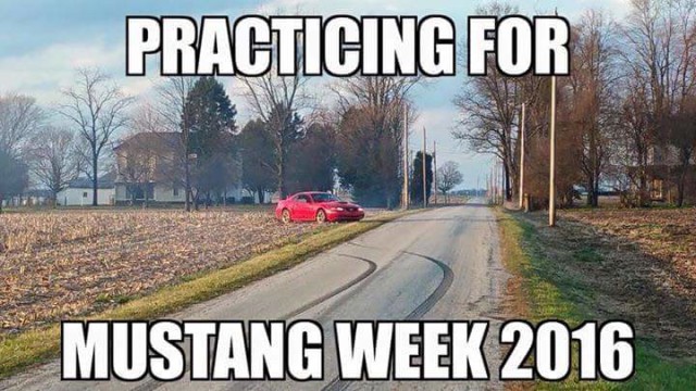 What Is With All the Mustang Meme Hate?