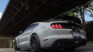 SavageGeese Thoroughly Reviews the Ford Shelby GT350R