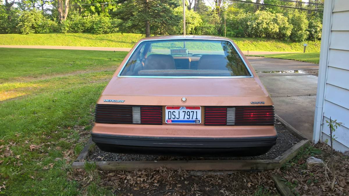 Looking for a Great Project? How 'Bout This Fox Capri?