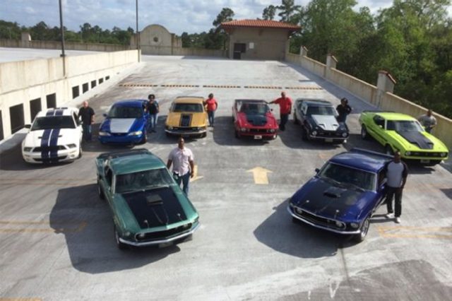 Introducing the Speed Family of Mustang Lovers