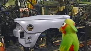 This parrot puppet is fascinated by the construction of an SN-95 Mustang.