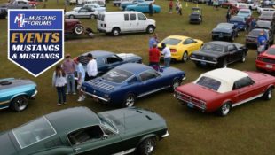 ‘Mustangs and Mustangs’ Show Celebrates 21 Years of Ponies