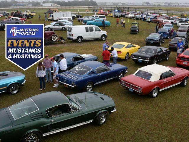 ‘Mustangs and Mustangs’ Show Celebrates 21 Years of Ponies