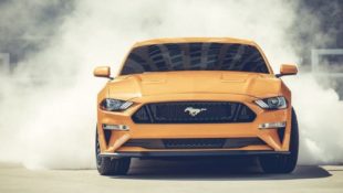 Beechmont 2018 Mustang GT