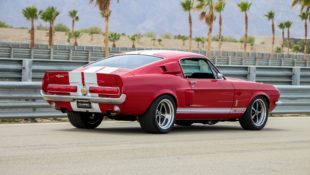 Shelby Mustang GT500 CR