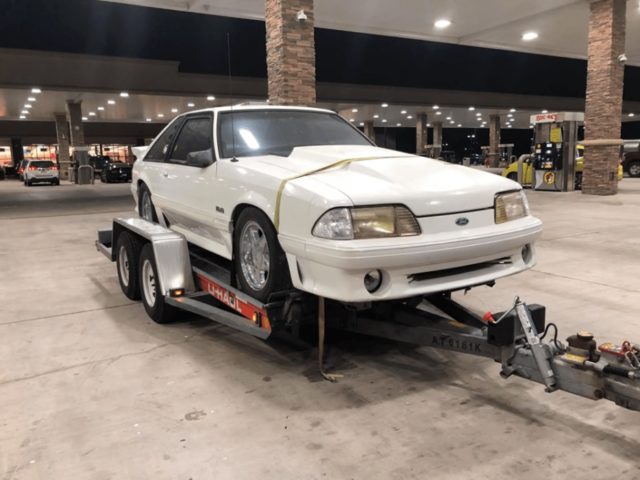 Mustang 5.0 Reunited with Family After 17 Years