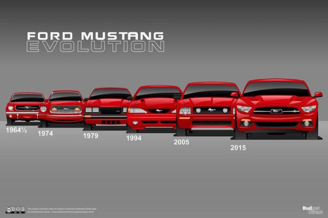 Budget Direct's Mustang evolution.