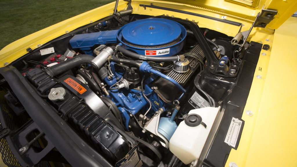 Shelby Convertible Is Only One of 43 Snakes in Existence