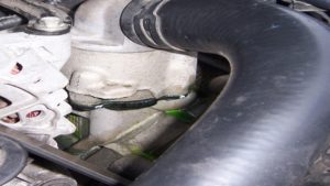 Ford Mustang GT 1996-2014: How to Stop Coolant Leak