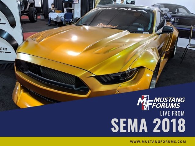 Widebody Mustang Has the Midas Touch