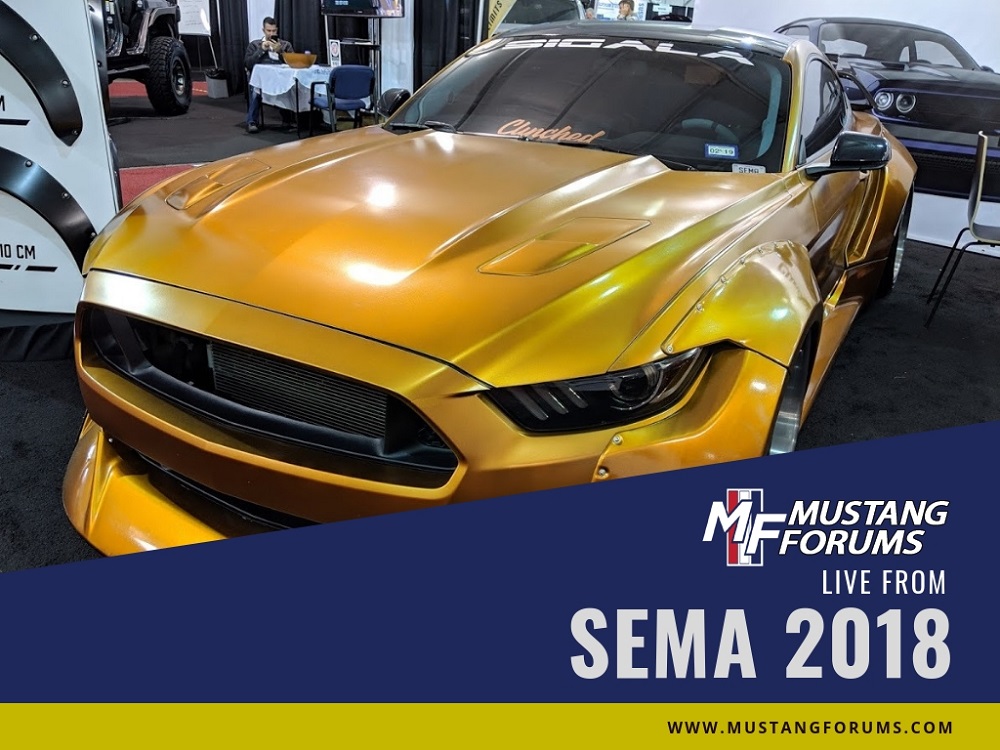 Widebody Mustang Has the Midas Touch