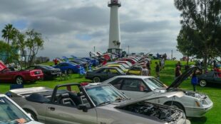 Massive Mustang Gathering to Take Place in South Bay L.A., March 17