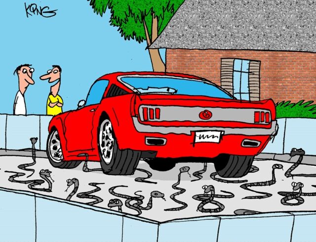 <i>Mustang Forums</i> Friday Funnies: Serpentine Solution