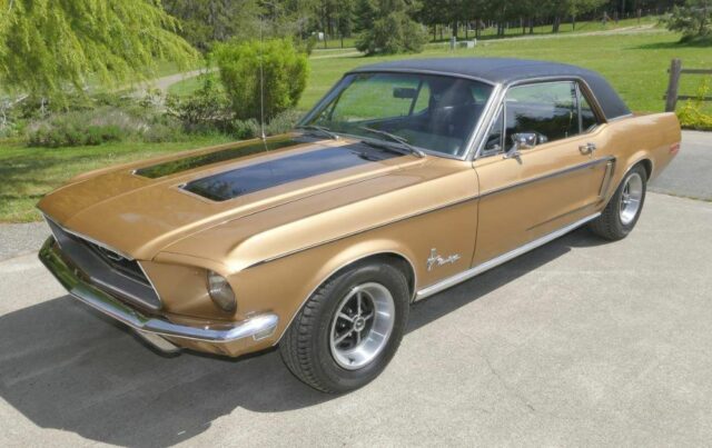 Rare ‘Golden Nugget Special’ Mustang Still Has Original Paint