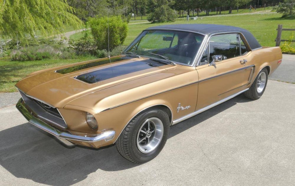 Rare 'Golden Nugget Special' Mustang Still Has Original Paint