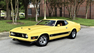 Five Coolest Mustangs We Spotted at Awesome Joe Auctions