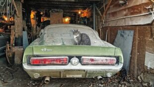 1967 Ford Mustang Shelby GT500 Barn Find