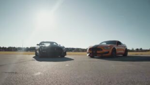 Shelby GT500 vs Shelby GT350