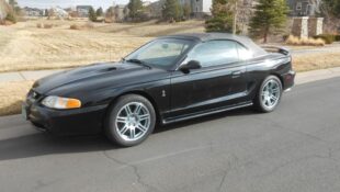 ‘Mustang Forums’ Member Shows Off Triple Black SVT Cobra