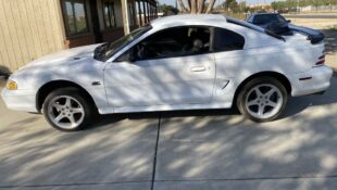 ‘Mustang Forums’ Member Freshens Up His SN95 Wheels