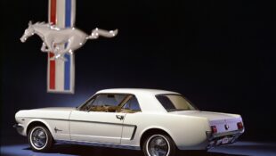Best Ford Mustang Colors — Wimbledon White