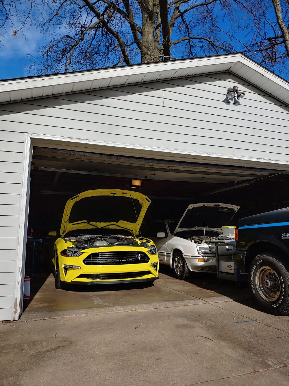 Is the EcoBoost Better Than the Coyote?